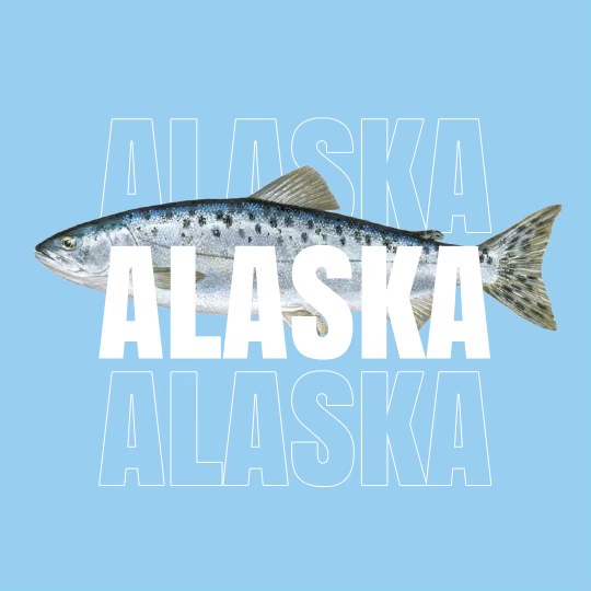Read more about the article Alaska: A Big Fish in the Seafood Industry