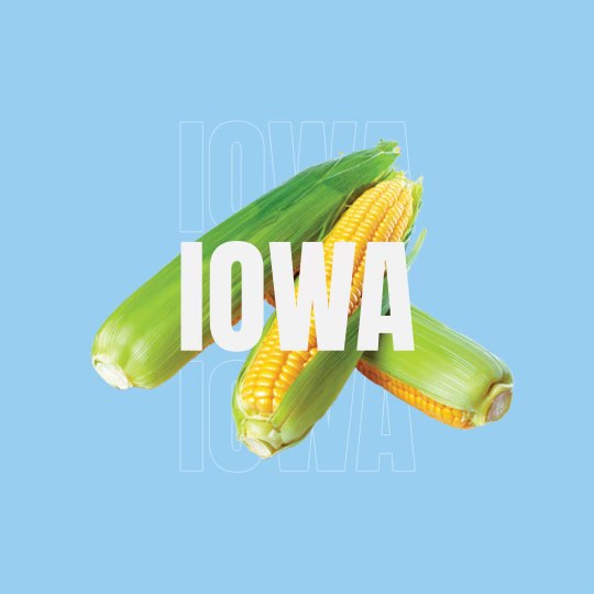 Read more about the article This Is Why Iowa Is Called The Corn State